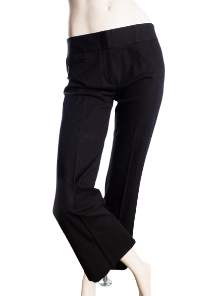 BCBGMAXAZRIA spodnie